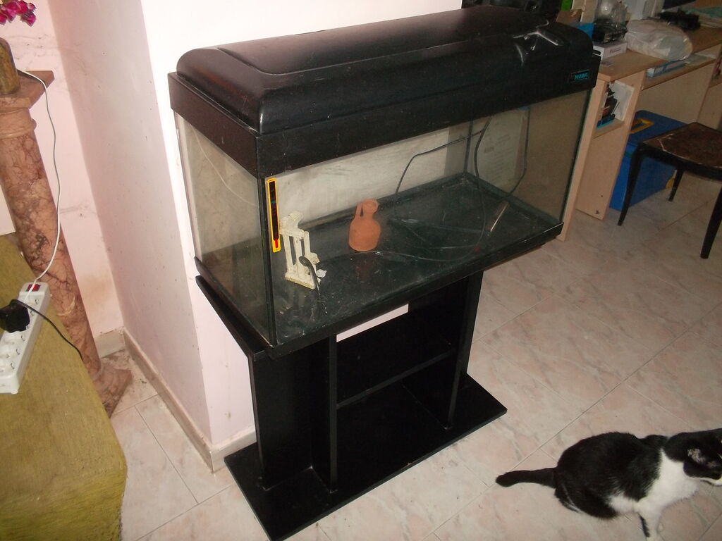 5323368 Acquario con supporto in legno